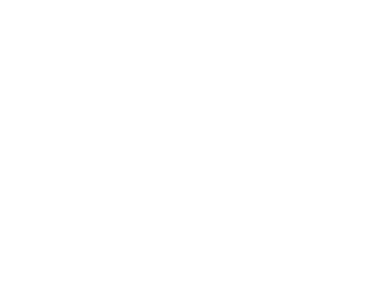 Momentum Logo (Large) - White